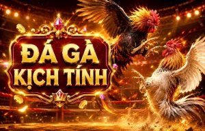 Đá Gà trực tiếp